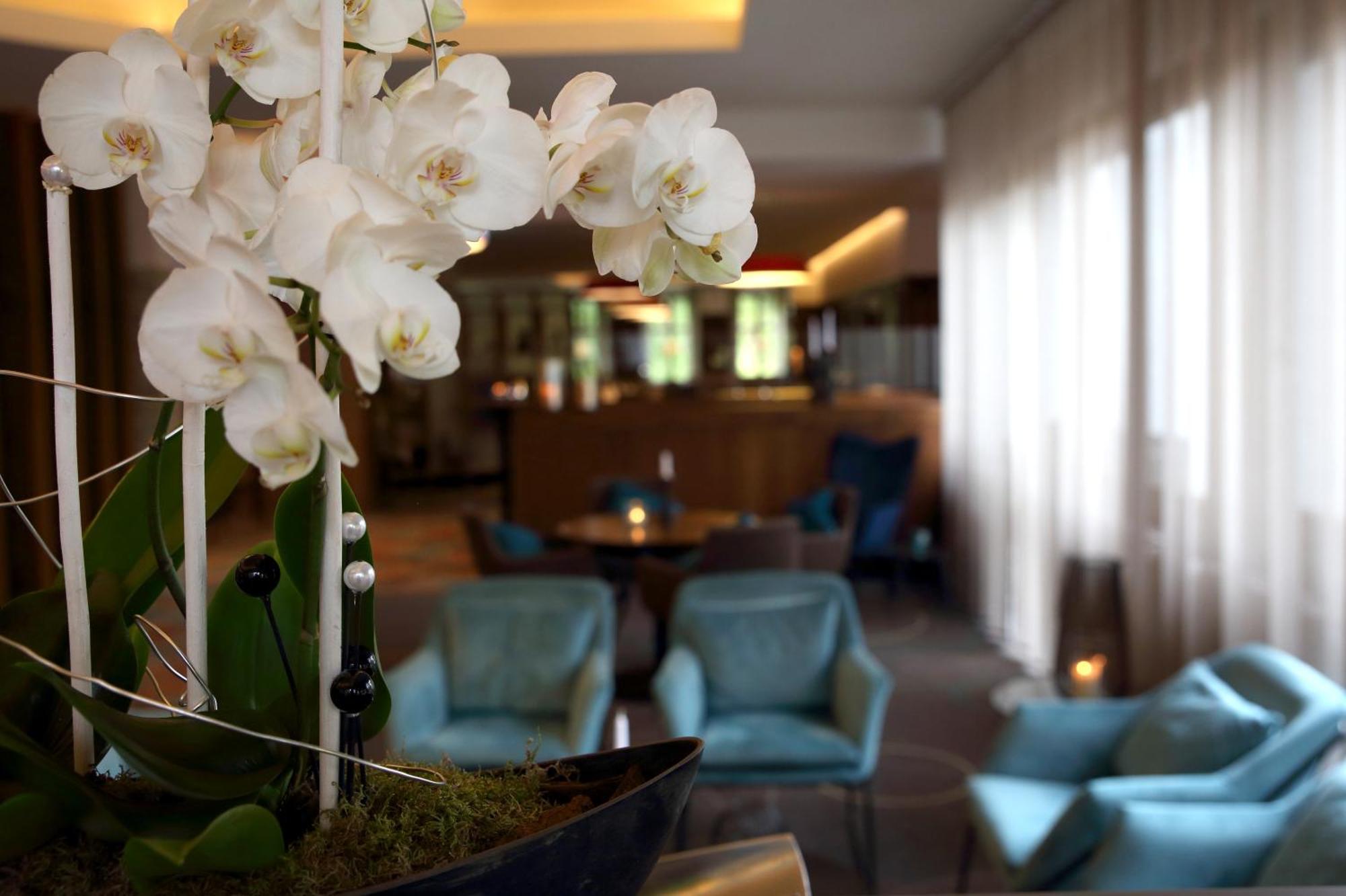 Lobinger-Parkhotel กิงเงน อัน แดร์เบรนซ์ ภายนอก รูปภาพ